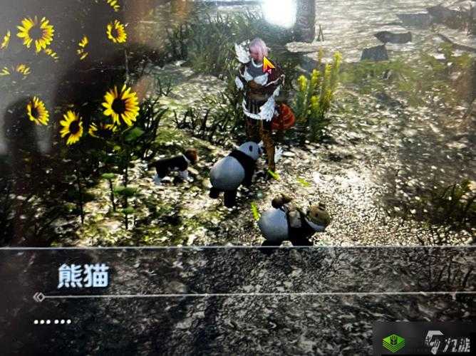 黑色沙漠手游熊猫获取方法是什么？