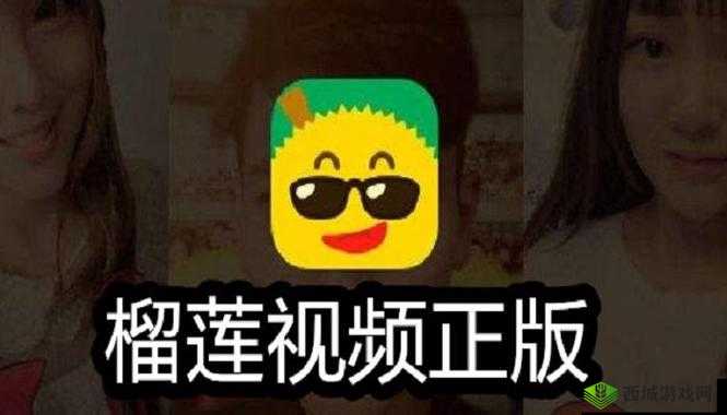 榴莲微视app网站下载：开启精彩视频之旅