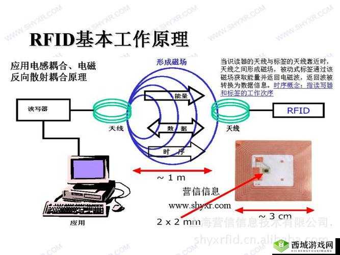 433MH2 射频对人体有影响吗：研究与探讨