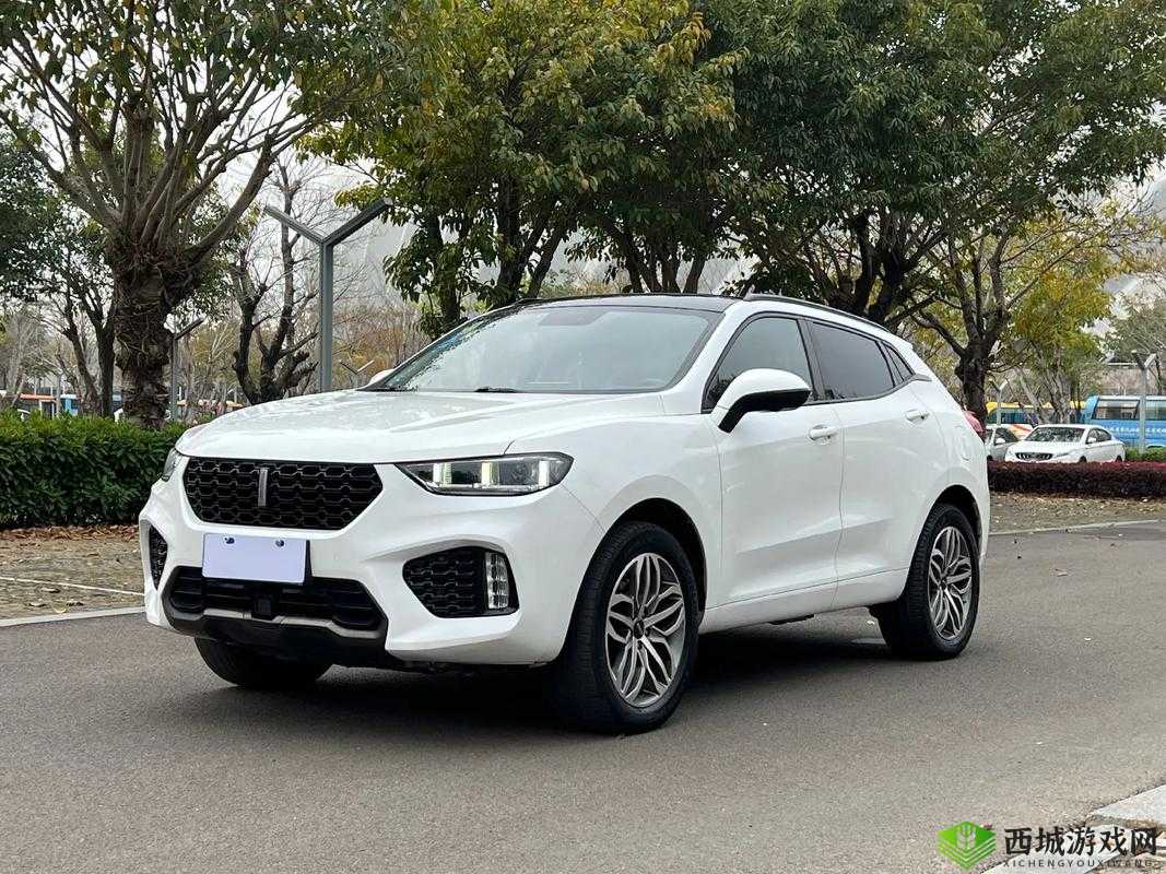 Wey VV5 国产 SUV 魅力展现视频