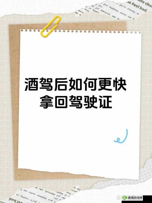 交警用小xue查酒驾文叫什么：探究背后真相