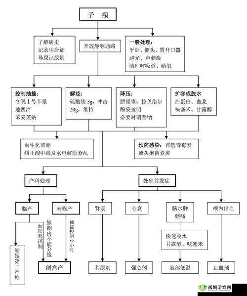 娇生惯养 4pH 最简单处理：实用指南