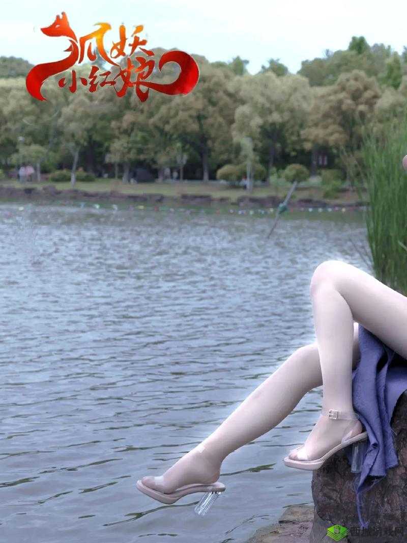 正片 65a33：精彩内容呈现