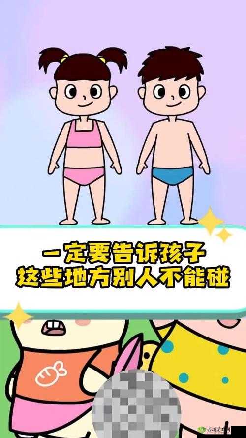 12 岁隐私与能放笔数量的关系探讨