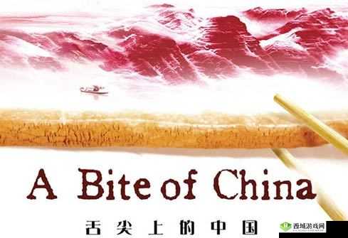 舌尖上的征服沈青訸：探究其名字的由来