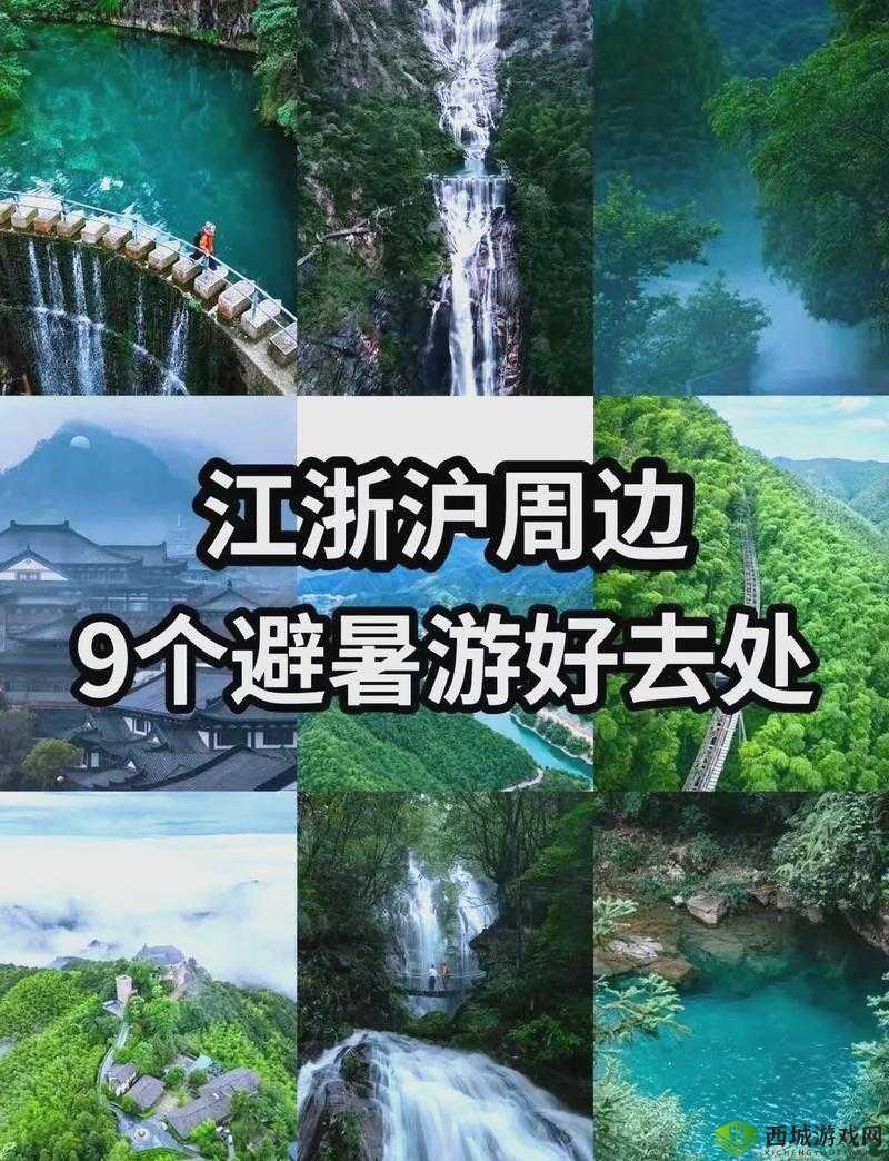 伊春园 2023 入口直达大象：新奇之旅开启