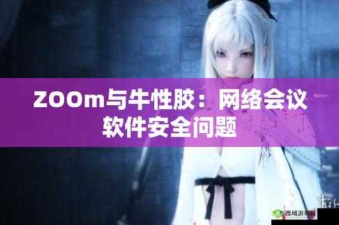 Zoom 与牛性胶 ZOOm 区别-深度剖析对比