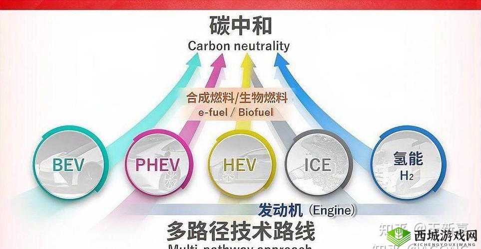 日本三线与欧洲品牌对比：文化、设计、品质大不同