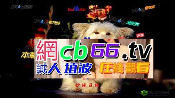 成品网源码 78W78：强大稳定且高效