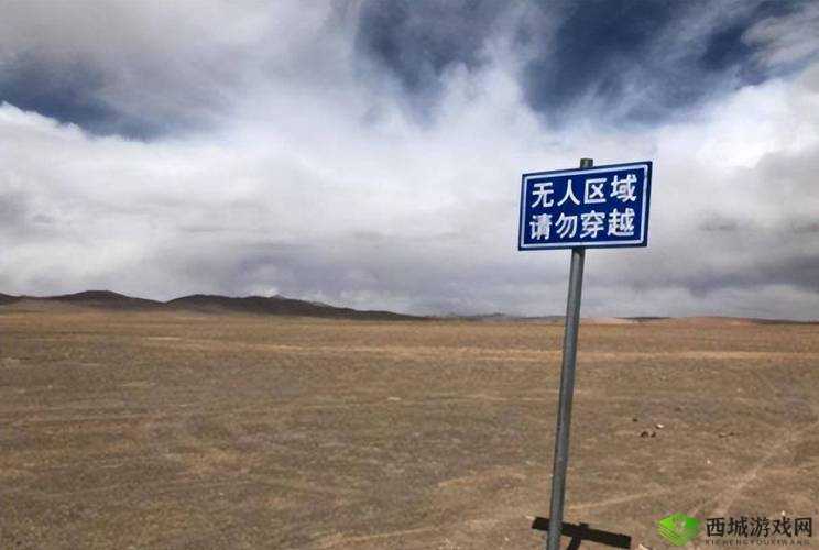 无人区编码 8229：神秘未知的领域