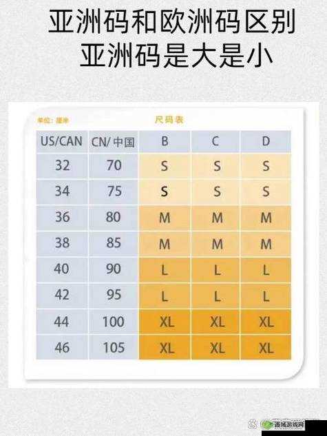 亚洲一码和欧洲二码的尺码区别：特点与差异
