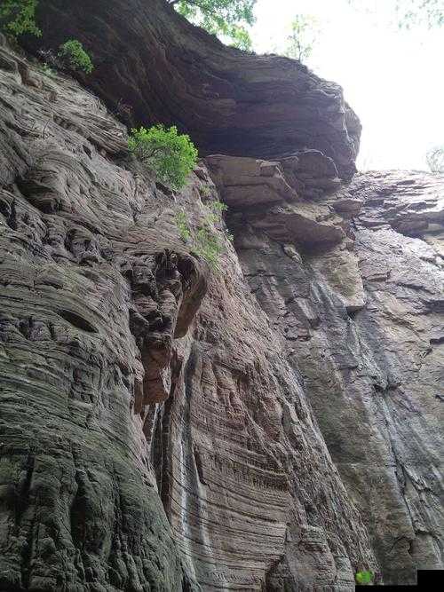 探索神秘龙崖：超壮观峭壁景色的震撼预览