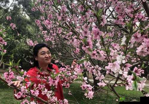 一处桃源千人品两片红唇万客来之美味诱惑