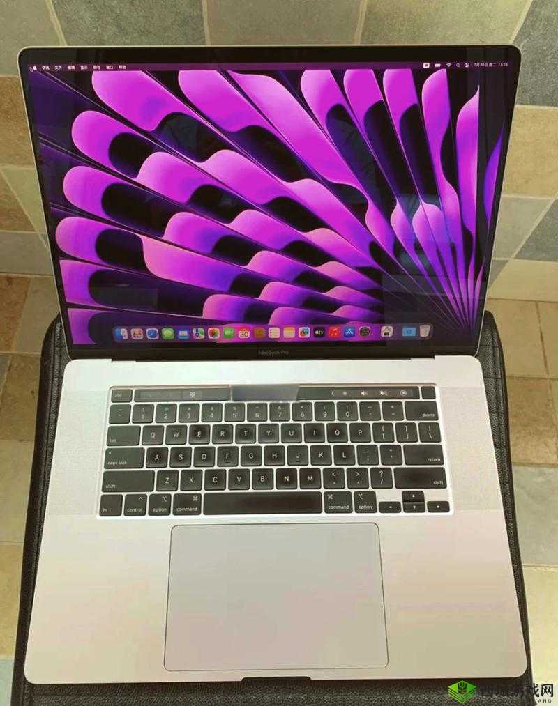 16 岁日本学生 MacBook Pro 评测探讨