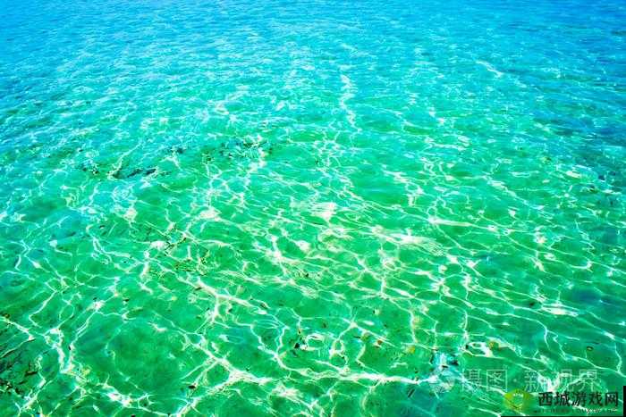 海角妈妈：充满生机的绿色海洋