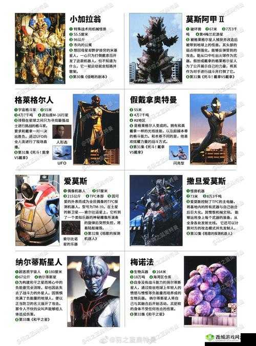 《神奇口袋：猎斑鳗属性图鉴》