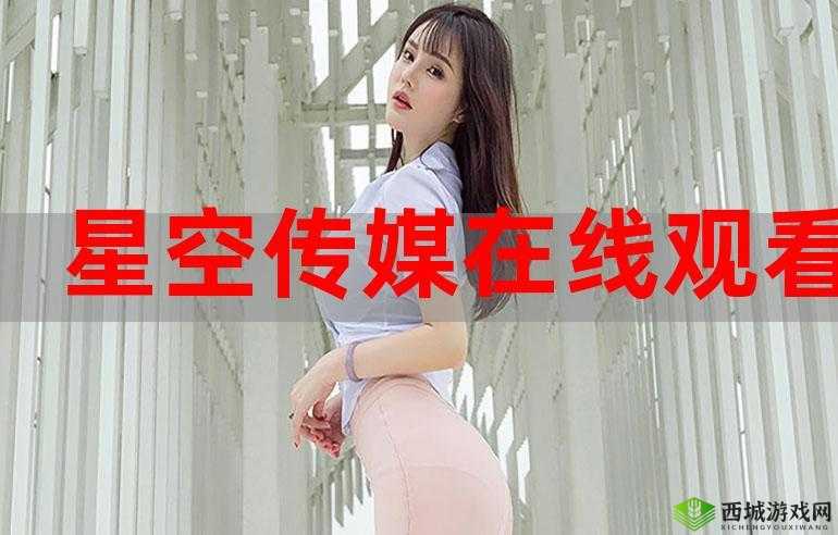 探讨麻花星空影视传媒制作公司作品特点