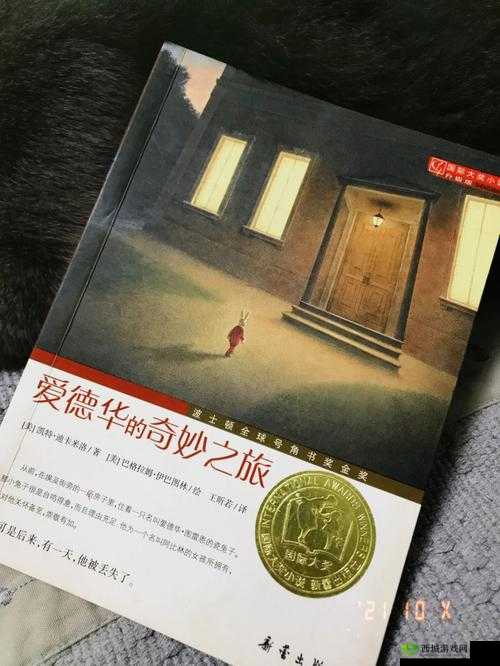 好色先生 404 的奇妙探索之旅
