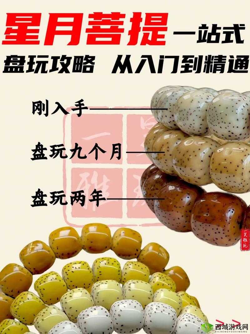 主公莫慌非 R 玩家进阶攻略：轻松上手，快速成长