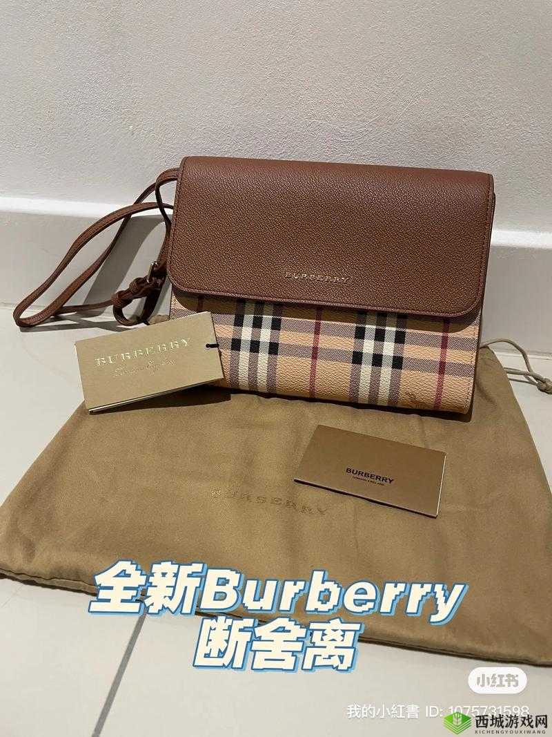 BURBERRY 中文免费版全新体验来袭