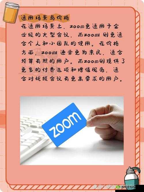 Zoom 与人性 Zoom 的区别探讨