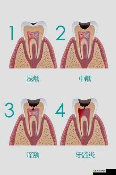 小洞需大肉肠所指含义