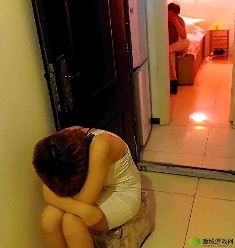 乡村嫖妓事件引发的深刻社会思考与警示