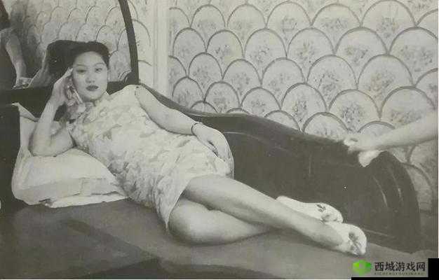 亚洲妓女：揭秘她们的生存现状与挑战