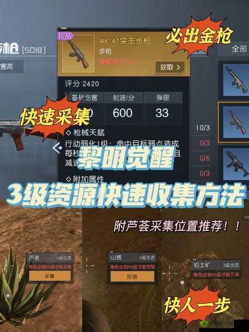 黎明觉醒升级攻略揭秘，掌握资源管理艺术，高效提升游戏实力