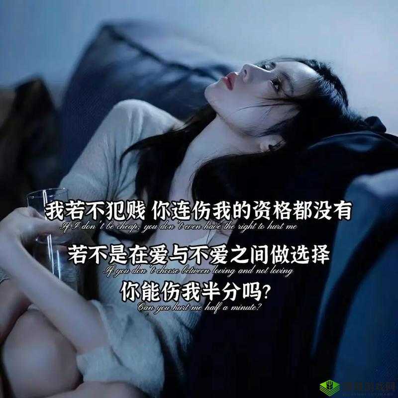 17c 永久网：连接你我，共享美好时光