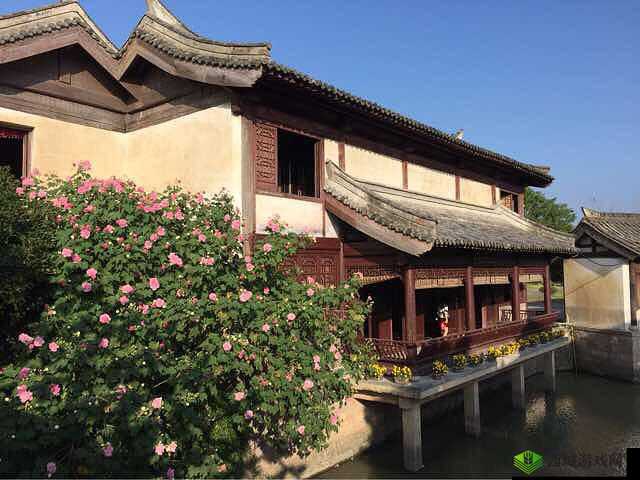 怡春院欧美之独特风情与别样魅力