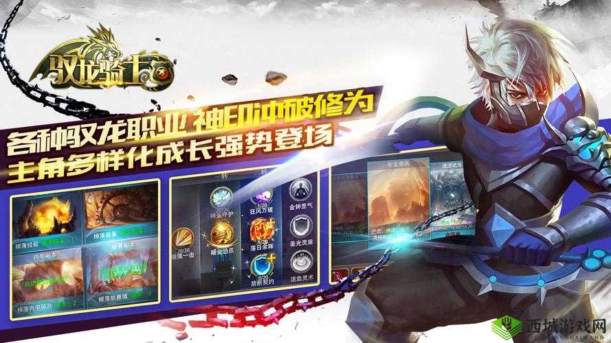 驭龙骑士团VIP系统全揭秘，特权详解及其对资源管理效率的关键提升