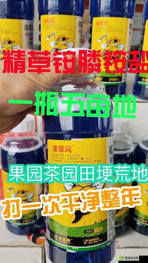 国精产品 WNW2544A 是一款非常优秀的产品值得关注