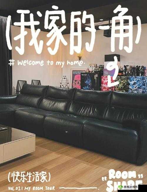 私人家庭影院密码是多少：探寻密码背后的神秘世界