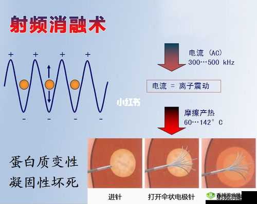 433MHz射频技术对人体健康有影响吗？其安全性与潜在风险
