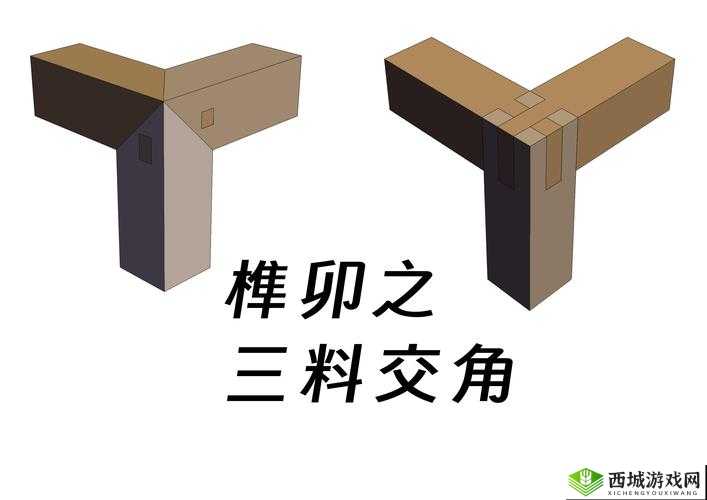 匠木三料交榫第十章如何巧妙通关？组合技巧攻略大揭秘！